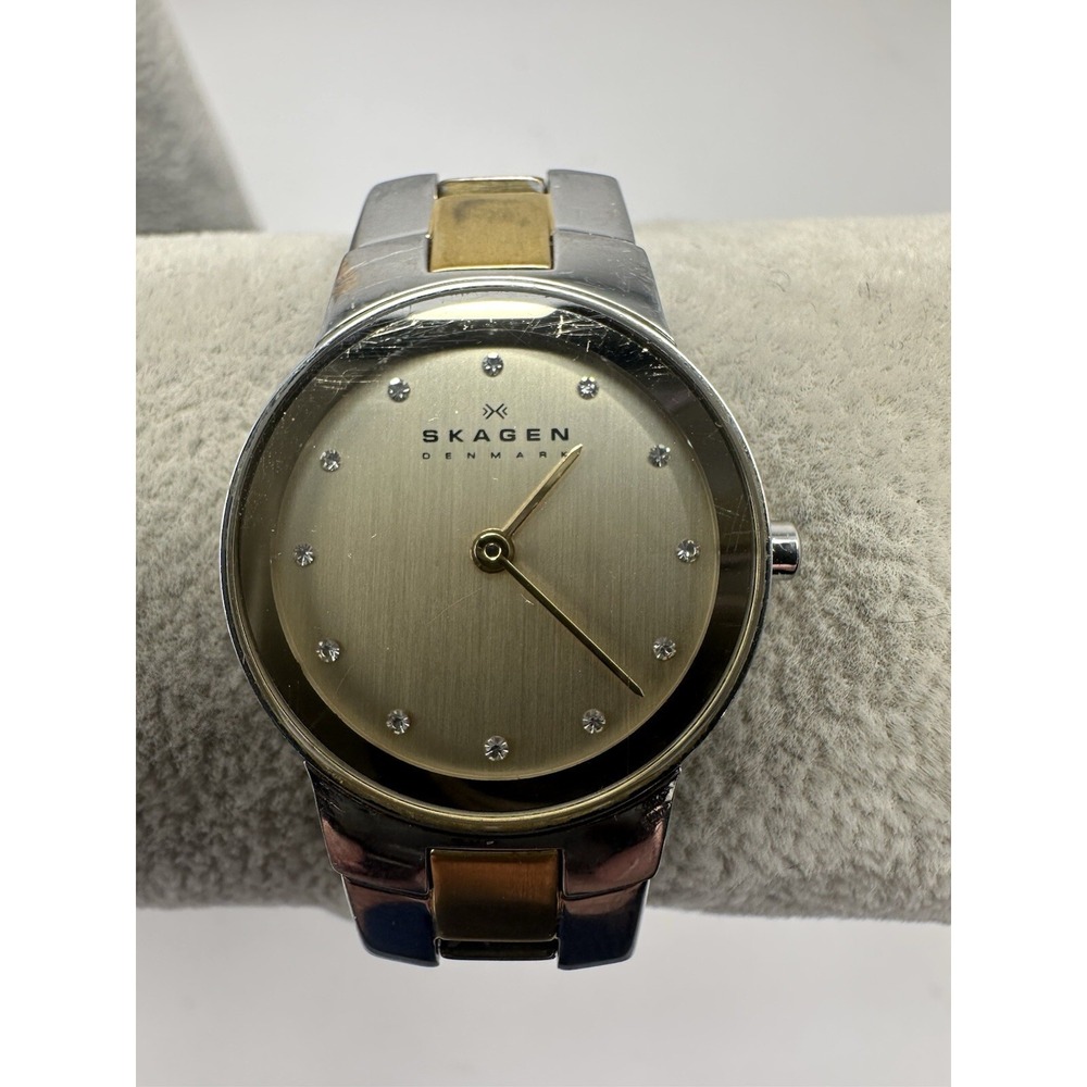 Skagen SKW2090 Ladies Watch New Battery 25MM 6.75" Two Tone D35
